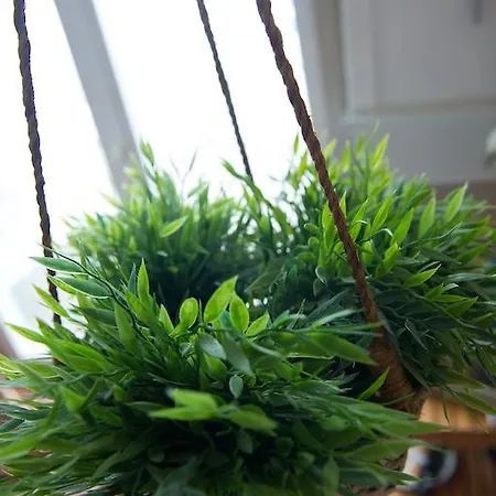 Couette-café Trémail - La Au Pied De Votre 3*