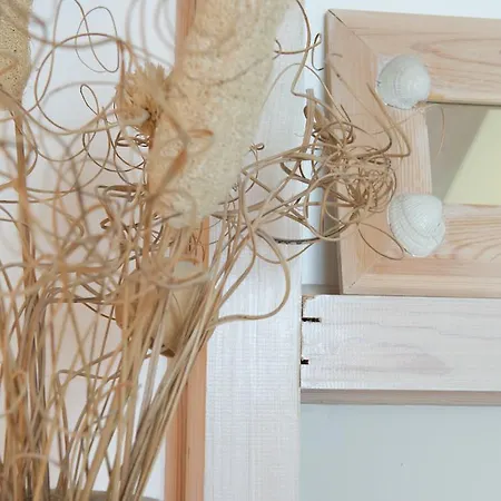 Trémail - La Au Pied De Votre 3*