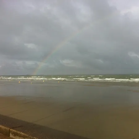 Tremail - La Au Pied De Votre